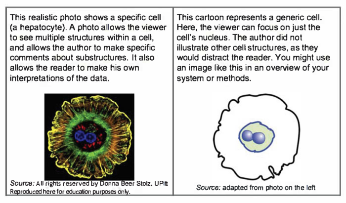 fig5